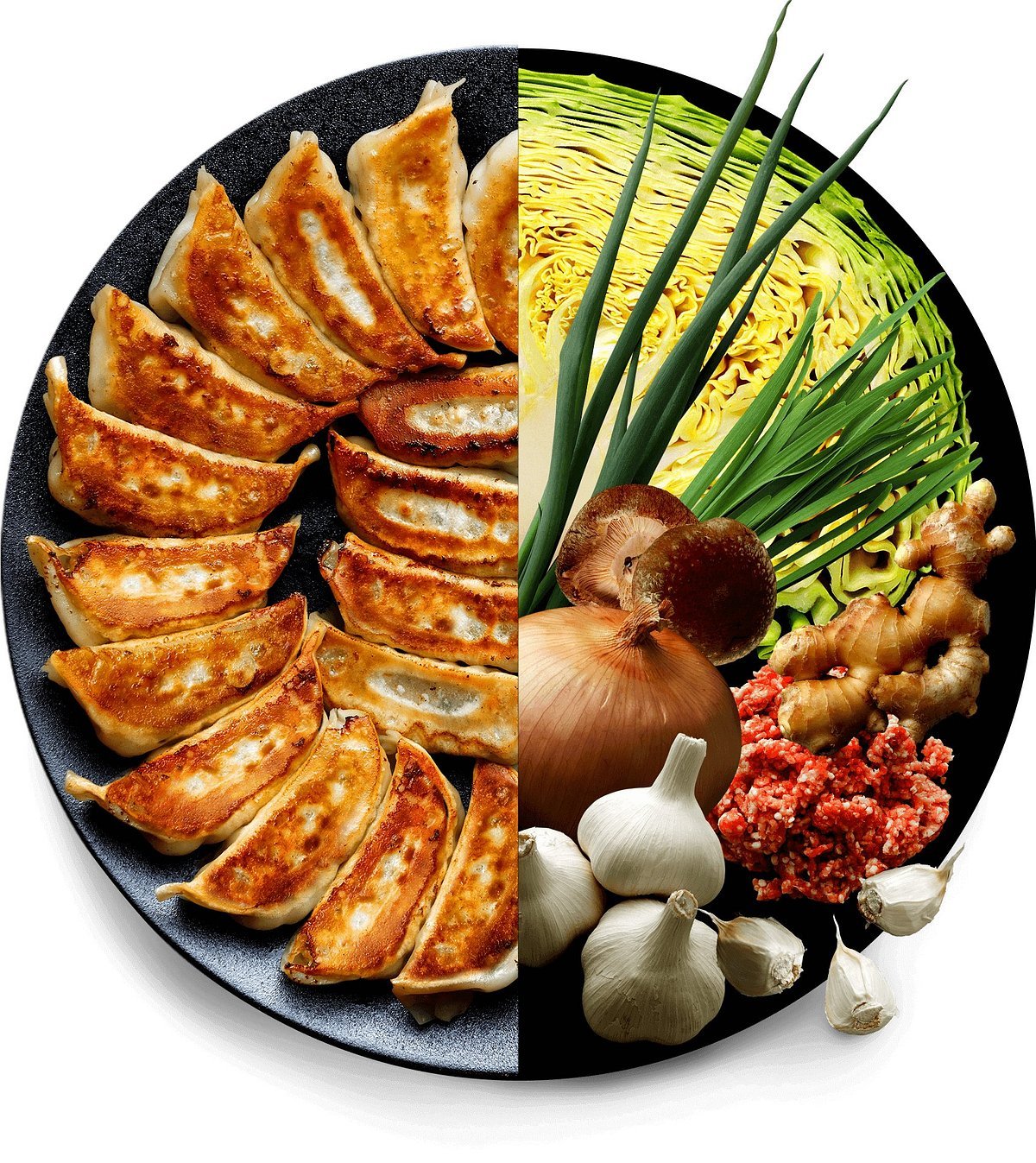 Best Gyoza in Kyoto: Top Dumpling Restaurants Guide